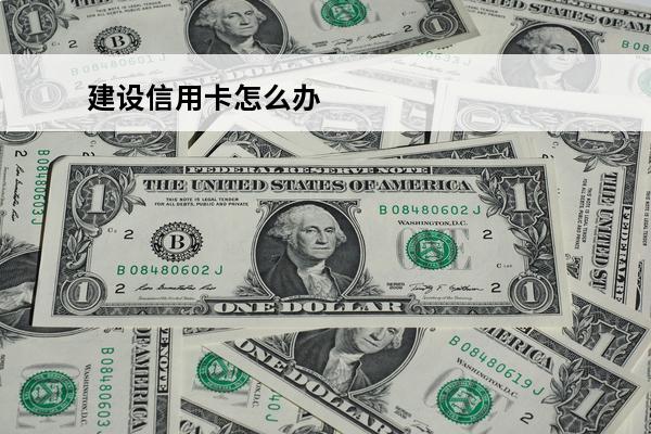 建设信用卡怎么办
 建设信用卡怎么办分期还款