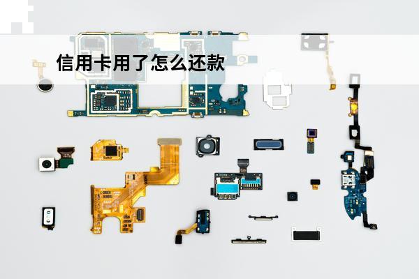 信用卡用了怎么还款
(用信用卡支付怎么还款)