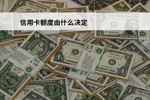 信用卡额度由什么决定
 银行的信用卡额度