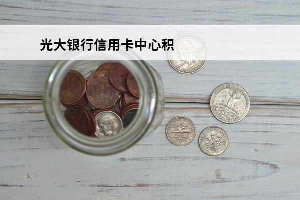 光大银行信用卡中心积分商城
(光大银行信用卡积分商城官网)