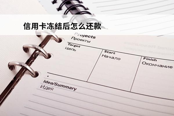 信用卡冻结后怎么还款
(信用卡冻结后怎么还款呢)