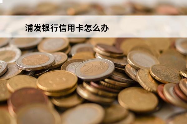 浦发银行信用卡怎么办
(信用卡都有哪些银行)