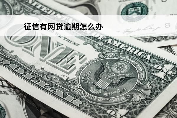 征信有网贷逾期怎么办
(征信有网贷逾期有什么影响)