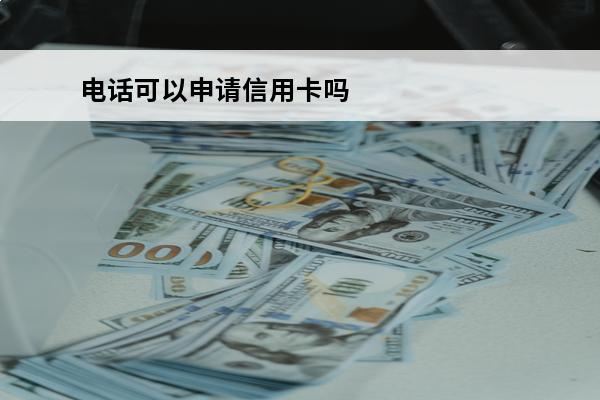 电话可以申请信用卡吗
(电话可以申请信用卡吗安全吗)