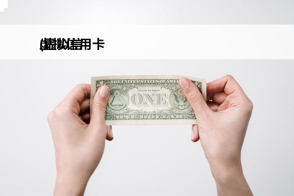 虚拟信用卡
(虚拟信用卡的钱怎么刷出来)