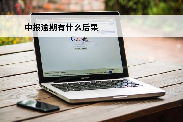 申报逾期有什么后果
 申报逾期了还能到网上申报吗