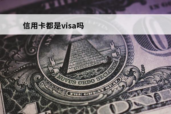 信用卡都是visa吗
(visa是信用卡吗)