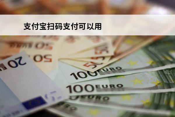 支付宝扫码支付可以用信用卡吗
(支付宝扫一扫付款可以用信用卡吗)