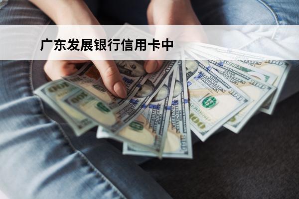 广东发展银行信用卡中心
(广东发展银行信用卡中心在哪里)