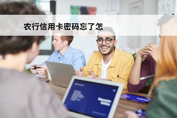 农行信用卡密码忘了怎么办
(农行信用卡密码忘了怎么办理)