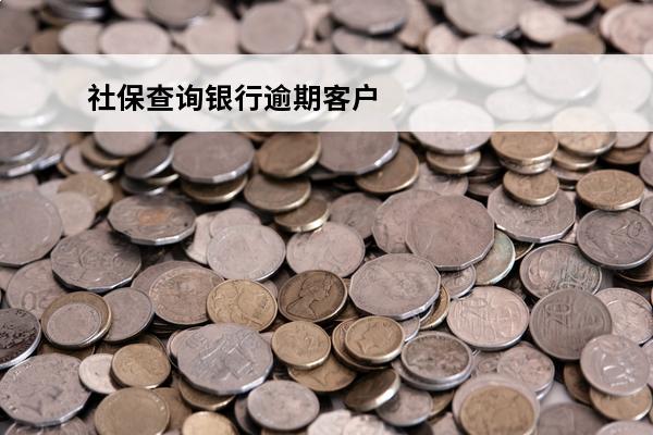 社保查询银行逾期客户