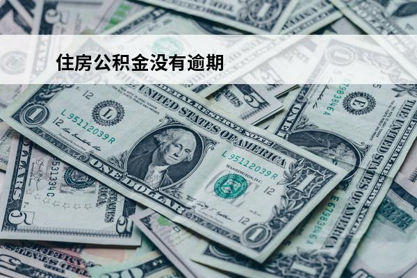 住房公积金没有逾期
 住房公积金没有按时还款会影响征信吗