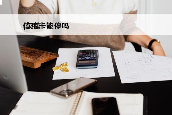 信用卡能停吗
(欠信用卡可以停息还本金吗)