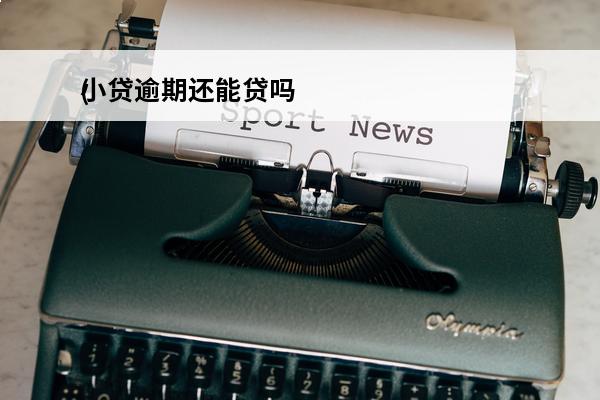 小贷逾期还能贷吗
(小贷逾期不还会怎么样)