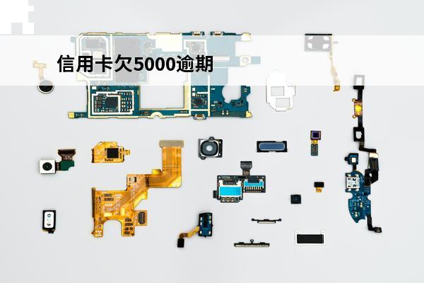 信用卡欠5000逾期不还怎么处理
 欠信用卡五千不还会怎样