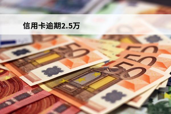 信用卡逾期2.5万
(信用卡逾期25万判多久)