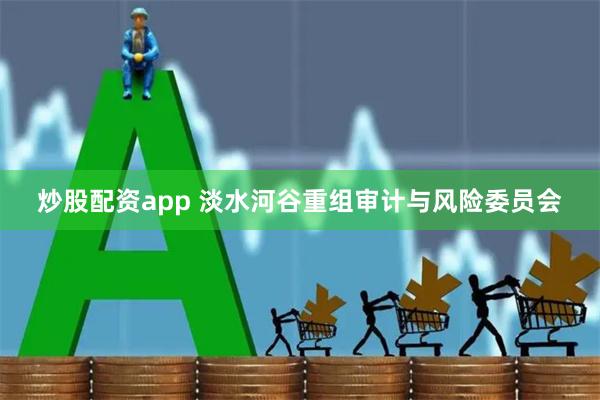 炒股配资app 淡水河谷重组审计与风险委员会