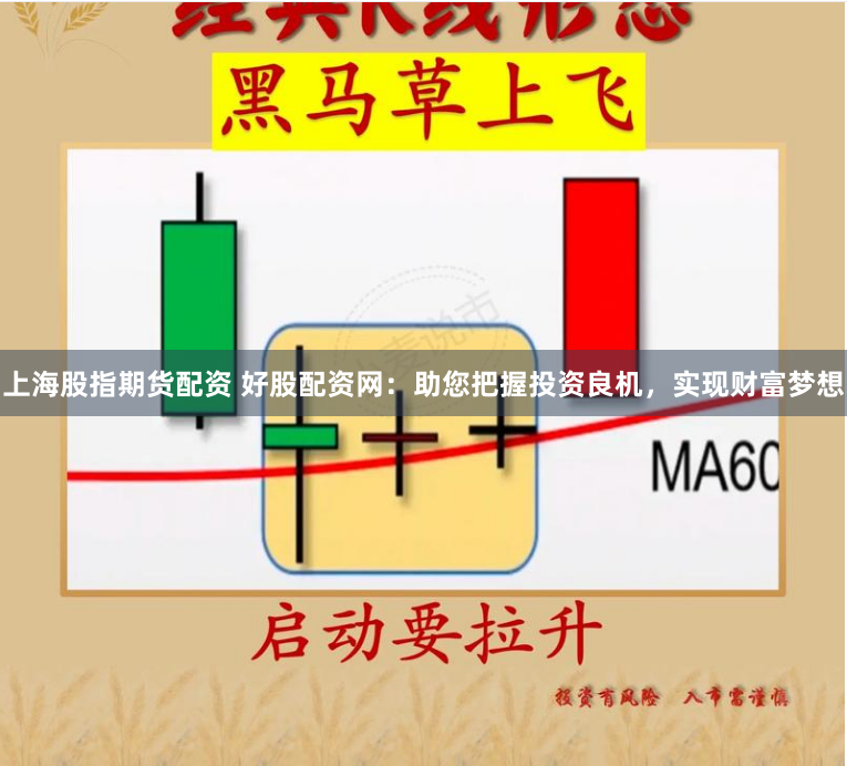 上海股指期货配资 好股配资网：助您把握投资良机，实现财富梦想