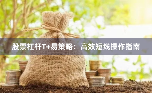 股票杠杆T+易策略：高效短线操作指南